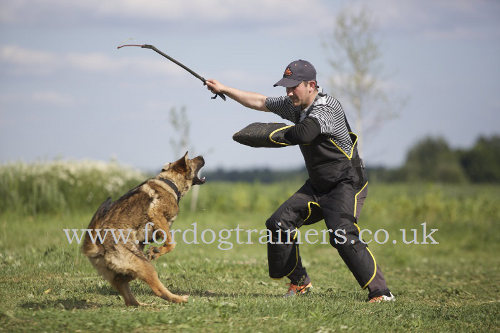 professional whip for dog training